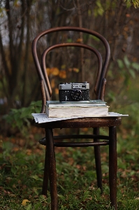 Natural plant furniture chair Photo