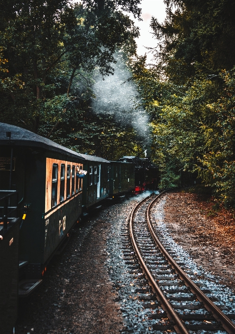 Naturale treno pianta materiale rotabile
