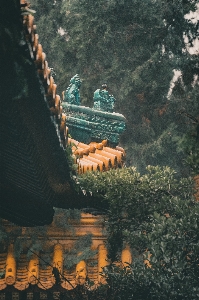 Architecture nature temple vegetation Photo