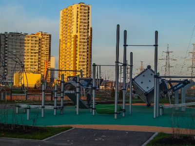 Images sky building plant Photo