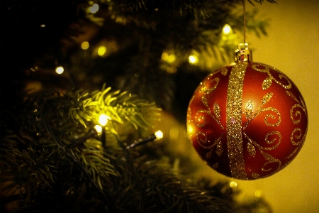 Christmas tree decoration holiday Photo