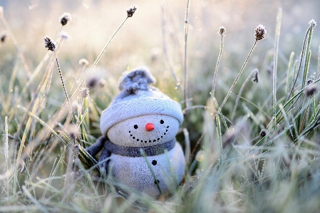 Snowman winter christmas snow Photo