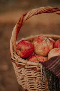 Natural food foods ingredient Photo