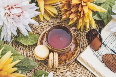 Flower food plant tableware Photo