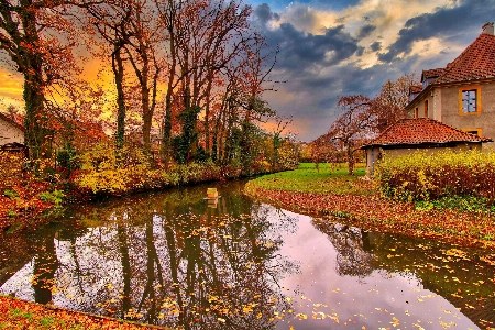 Natural water cloud plant Photo