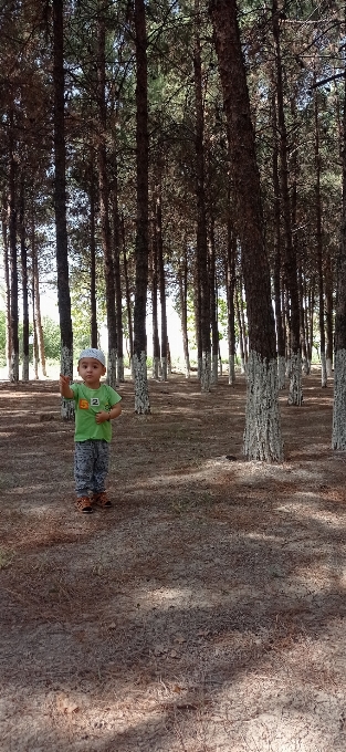 Tree plant people in nature natural landscape