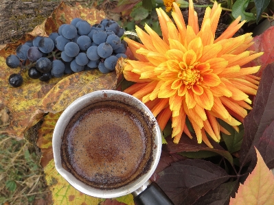 Kaffee becher außen trauben Foto