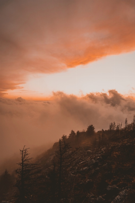 Cloud sky atmosphere ecoregion