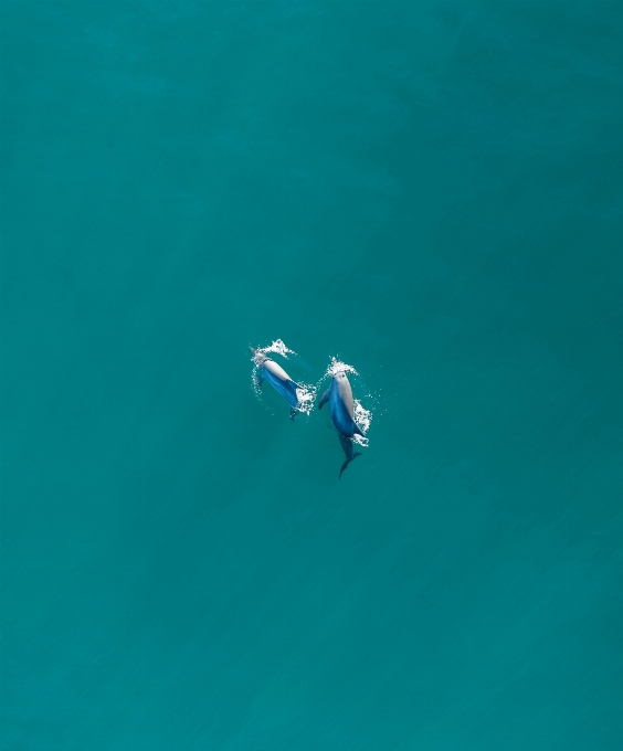 Sea water azure air travel