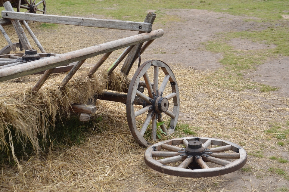 Viaggio di legno trasporto retrò