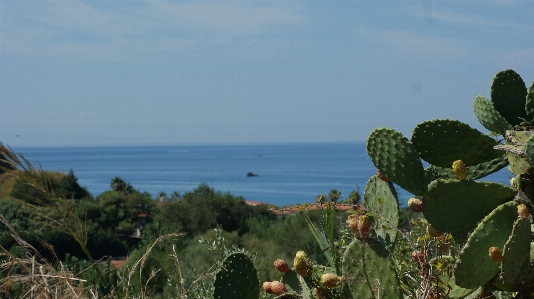 Italy calabria tropea sea Photo