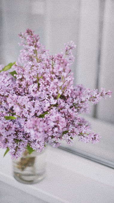 Natural flower plant vase