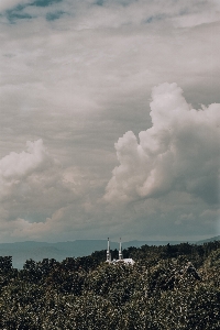 クラウド 空 雰囲気 植物 写真