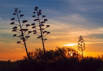 Sunset cloud sky atmosphere Photo