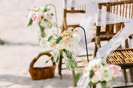 Natural flower furniture twig Photo