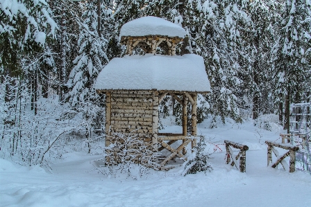 Bilder schnee zweig holz Foto