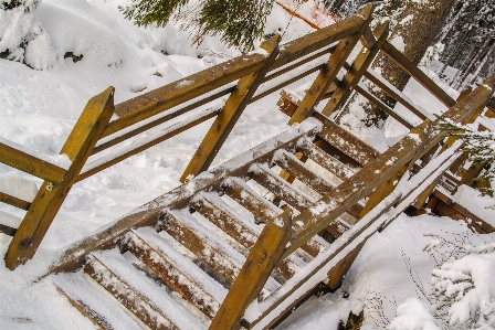 Bilder schnee holz zweig Foto