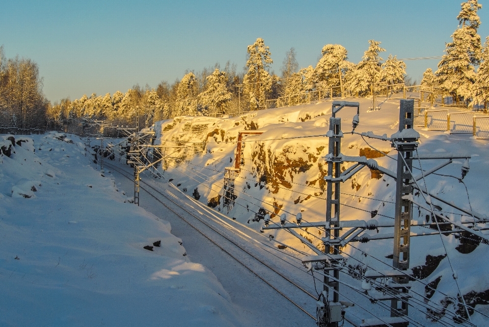 Images sky plant snow