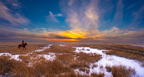 Sky cloud plant natural landscape Photo