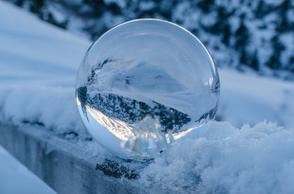 Lensball lensballphoto picoftheday landscape