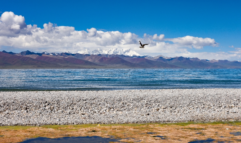 Xizang tibet lakes snow mountain