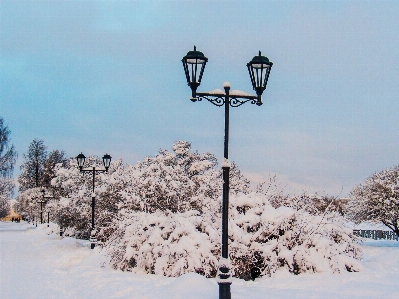 Images sky snow street light Photo