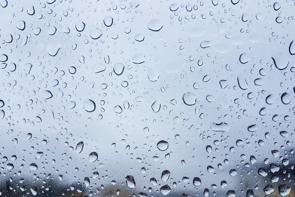 Window rain glass raindrop