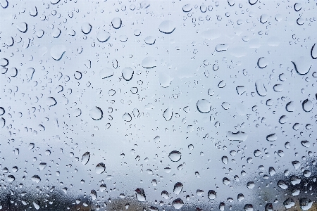 Window rain glass raindrop Photo