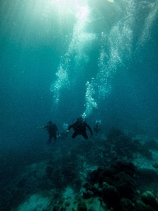 Natural water underwater diving scuba Photo