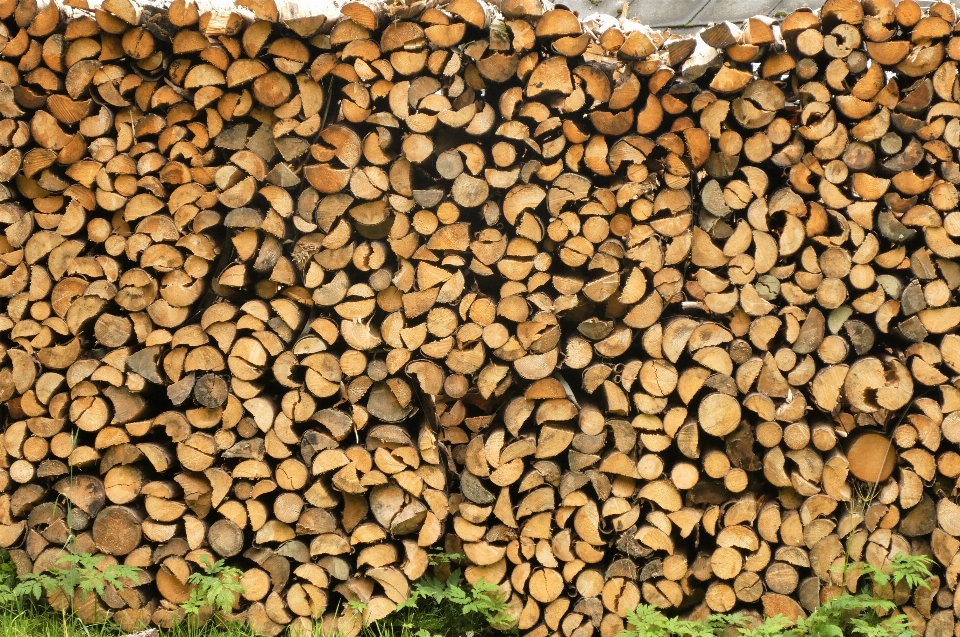 Wood plant groundcover lumber