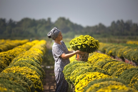 Girl flower sky plant Photo