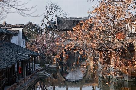 China architecture sky water Photo