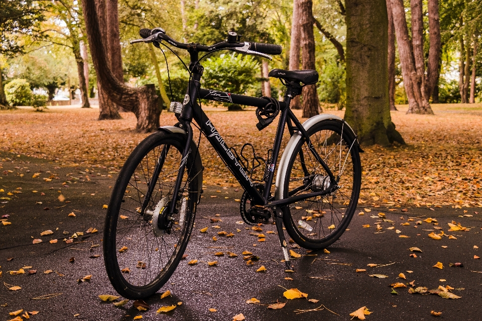 Bike bicycle tire wheel