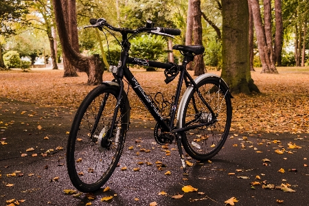 Bike bicycle tire wheel Photo