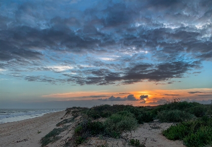 Sunset sky cloud plant Photo