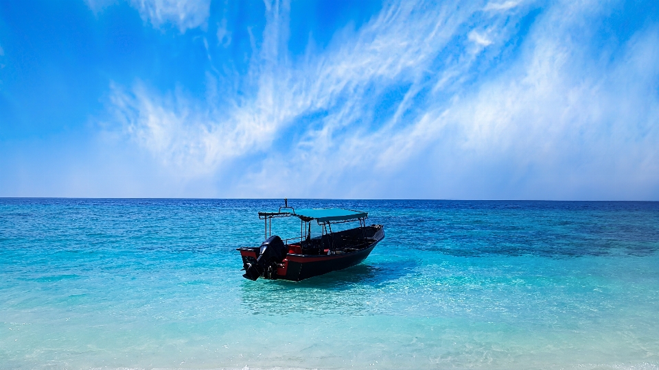 ボート 海洋 海 風景