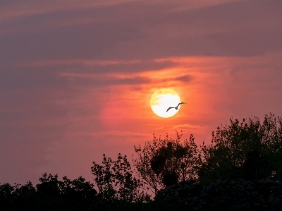 Sunset cloud sky atmosphere Photo