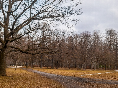 Images sky natural landscape environment Photo