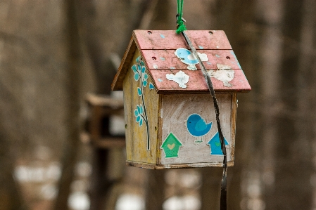 Images wood birdhouse pet supply Photo