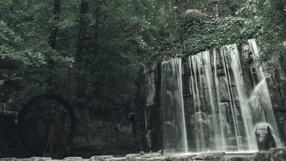 风景 水 水资源
 自然