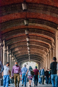 Foto México rua árvore estrada