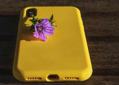 Yellow rectangle communication device petal Photo