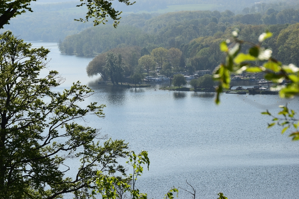 Natural water resources plant