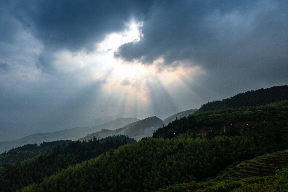 Tè collina nube cielo