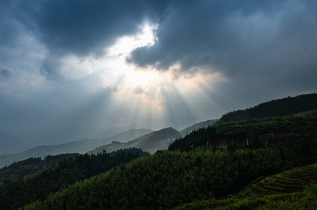 Tea hill cloud sky Photo