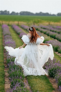 Woman hair plant wedding dress Photo