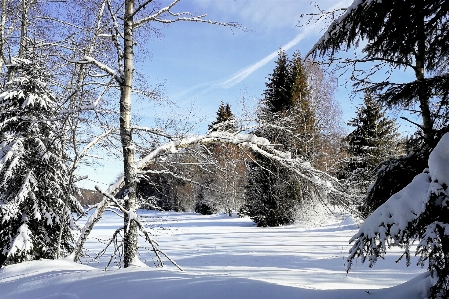 Winter zima sky snow Photo