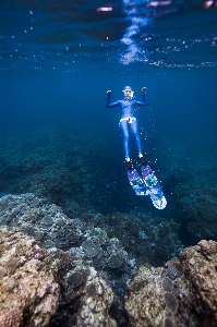 Natural water vertebrate underwater diving Photo