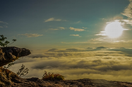 Foto Hutan awan langit suasana