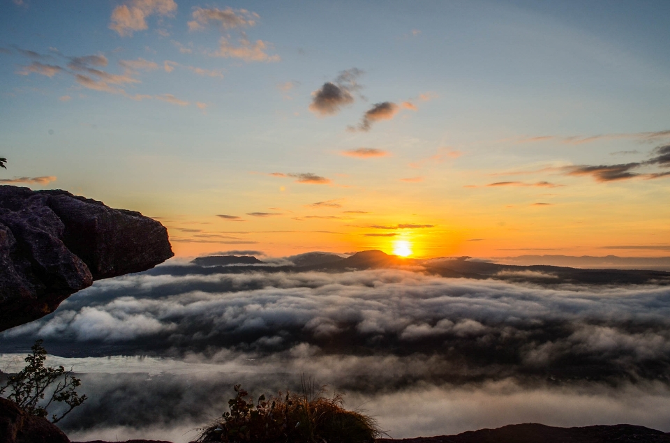 Floresta nuvem céu atmosfera